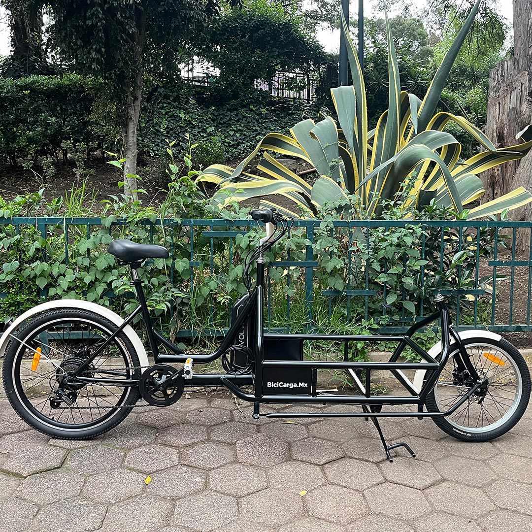 Bicicarga con asistencia eléctrica de 250 W
