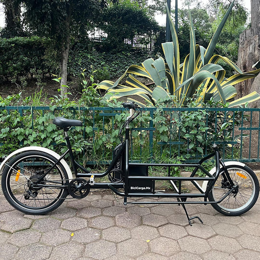 Bicicarga con asistencia eléctrica de 250 W
