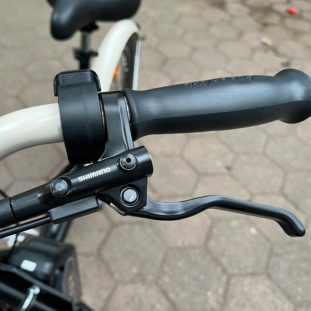 Bicicarga con asistencia eléctrica de 250 W