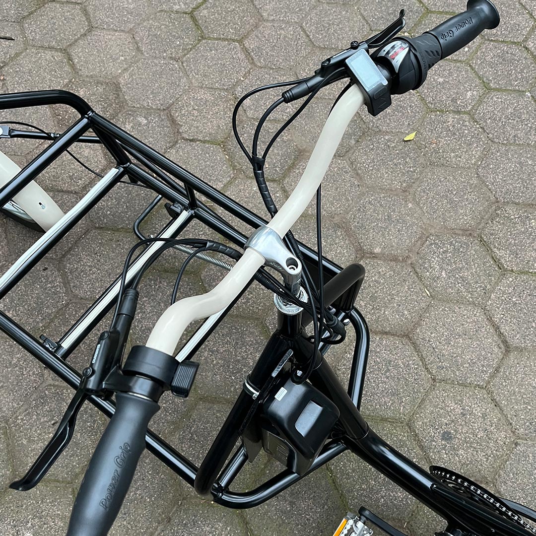 Bicicarga con asistencia eléctrica de 250 W